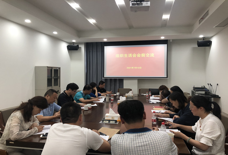 旅商集團(tuán)黨支部召開(kāi)組織生活會(huì)會(huì)前交流座談會(huì)